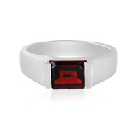 Mozambique Garnet Silver Ring