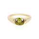 14K Sphene Gold Ring (AMAYANI)