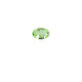 Merelani Mint Garnet 0,618 ct
