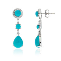 Sleeping Beauty Turquoise Silver Earrings