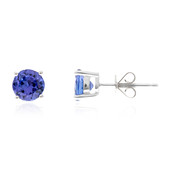 10K AAA Tanzanite Gold Earrings