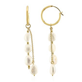 White Freshwater Pearl Silver Earrings (TPC)