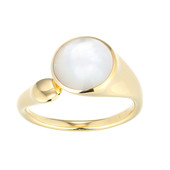 Mother of Pearl Silver Ring