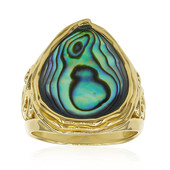 Abalone Shell Silver Ring (Art of Nature)