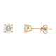 14K SI1 (H) Diamond Gold Earrings (CIRARI)