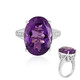 Zambian Amethyst Silver Ring