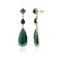 14K Malachite Gold Earrings (CIRARI)