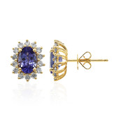 14K AAA Tanzanite Gold Earrings (CIRARI)