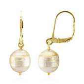 Kabira Golden South Sea Pearl Silver Earrings (TPC)