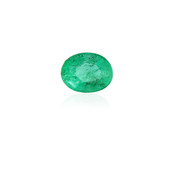 Zambian Emerald 0,284 ct