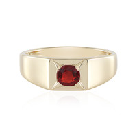 14K Tanzanian Ruby Gold Ring (de Melo)