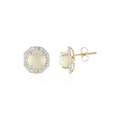 14K Welo Opal Gold Earrings (D'vyere)