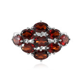 Mozambique Garnet Silver Ring