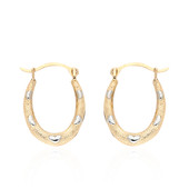 9K Gold Earrings