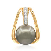 9K Tahitian Pearl Gold Pendant (TPC)