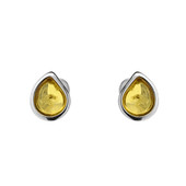 Baltic Amber Silver Earrings (dagen)