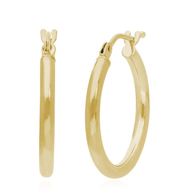 14K Gold Earrings