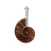 Ammonite Silver Pendant