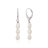 Mother of Pearl Silver Earrings