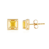 Madagascar Yellow Sapphire Silver Earrings