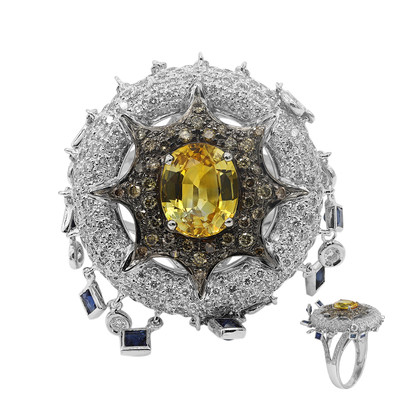 18K Yellow Ceylon Sapphire Gold Ring (Estée Collection)