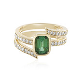 14K Brazilian Tourmaline Gold Ring (de Melo)