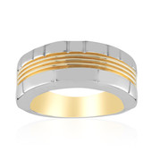 Zircon Silver Ring (Remy Rotenier)