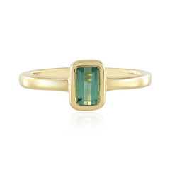 Benedito Green Tourmaline Silver Ring