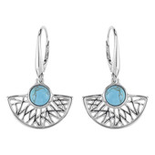 Turquoise Silver Earrings (dagen)