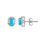 Sleeping Beauty Turquoise Silver Earrings