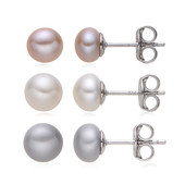 Silver Freshwater Pearl Silver Earrings