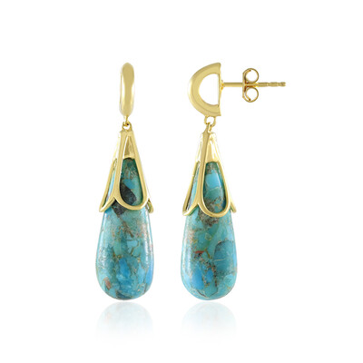 Turquoise Silver Earrings (MONOSONO COLLECTION)