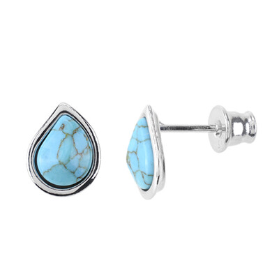 Turquoise Silver Earrings (dagen)