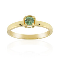 14K Madagascan Demantoid Gold Ring (John Ferry)