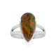 Ammolite Silver Ring