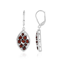 Mozambique Garnet Silver Earrings