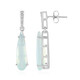 14K Paraiba Opal Gold Earrings (AMAYANI)