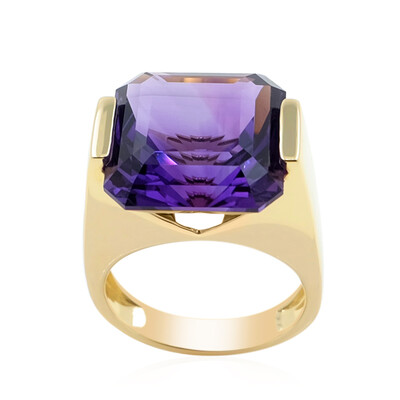 9K Zambian Amethyst Gold Ring (de Melo)