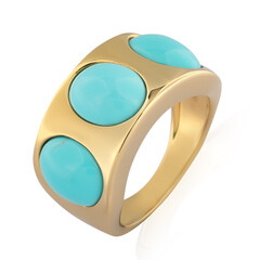 Sleeping Beauty Turquoise Silver Ring (de Melo)