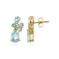 Sky Blue Topaz Silver Earrings