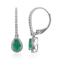 14K AAA Zambian Emerald Gold Earrings (CIRARI)