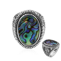 Abalone Shell Silver Ring (Art of Nature)