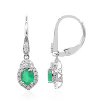 10K AAA Zambian Emerald Gold Earrings