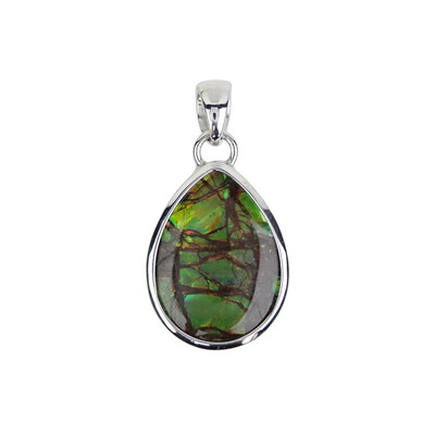 Ammolite Silver Pendant