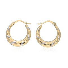 9K Gold Earrings