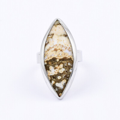 Ocean Jasper Silver Ring