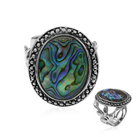 Abalone Shell Silver Ring (Art of Nature)