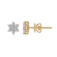 18K IF (D) Diamond Gold Earrings