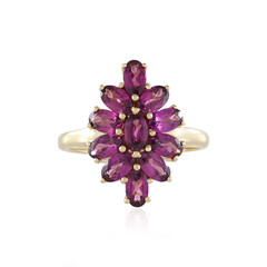 9K Magenta Garnet Gold Ring