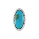 Turquoise Silver Pendant (MONOSONO COLLECTION)